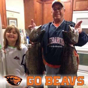 Meet your Posher, Roy